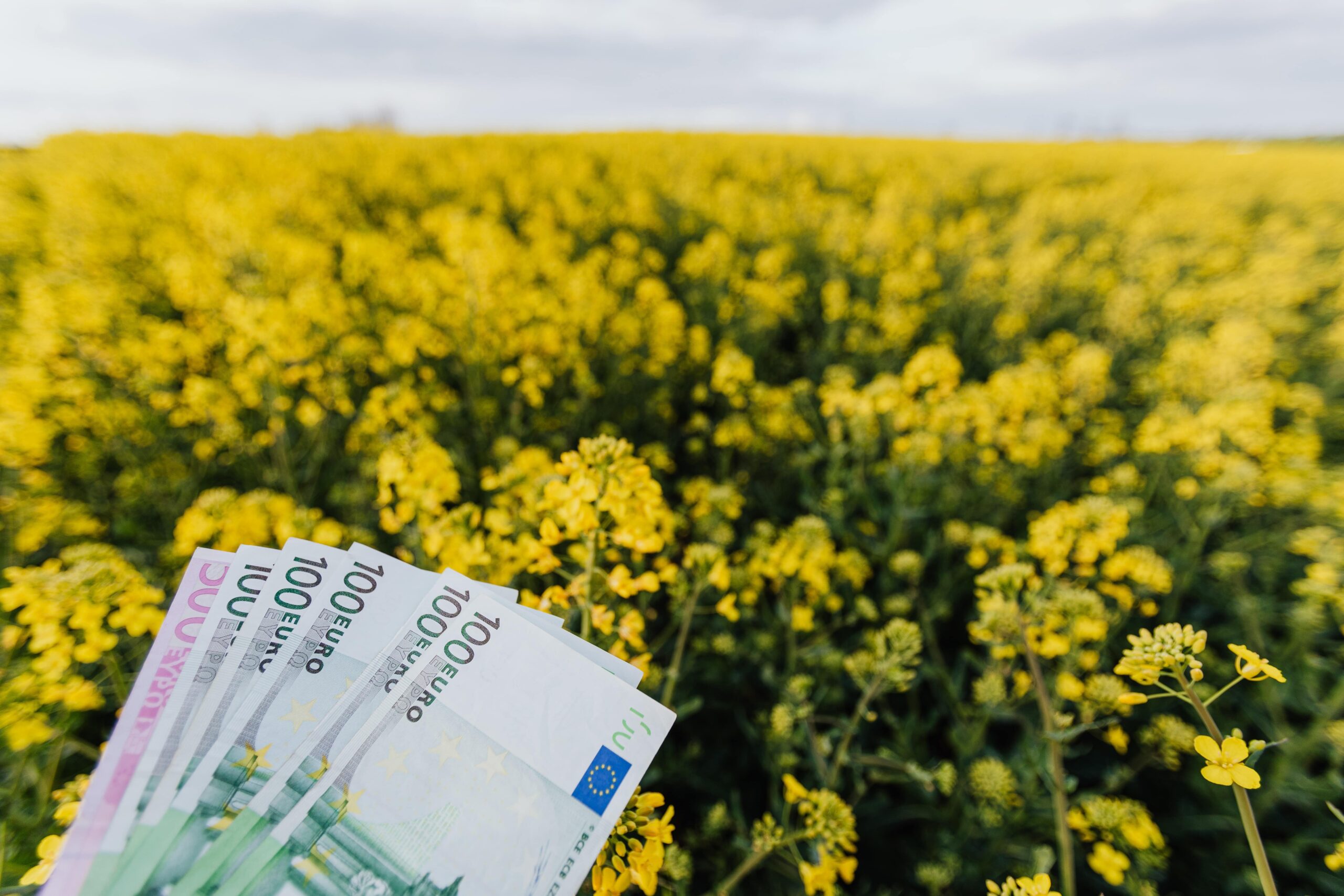 financiamiento sectores-min financiamiento sectores-min